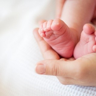 Newborn Bloodspot Screening